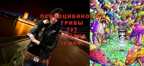 героин Алзамай