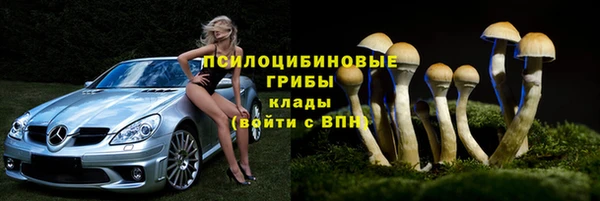 героин Алзамай