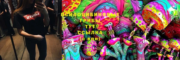 прущие грибы Алексин