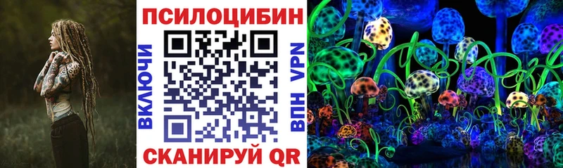 Псилоцибиновые грибы мицелий что такое Аргун